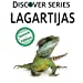 Seller image for Lagartijas (Spanish Edition) [Soft Cover ] for sale by booksXpress