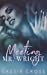 Seller image for Meeting Mr. Wright [Soft Cover ] for sale by booksXpress