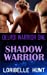 Seller image for Shadow Warrior (Delroi Warrior) (Volume 1) [Soft Cover ] for sale by booksXpress