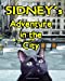 Seller image for Sidney's Adventure in the City(Color Edition) [Soft Cover ] for sale by booksXpress