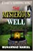 Imagen del vendedor de The Mysterious Well: A very scary, strange and suspenseful novel that would horrify you a lot [Soft Cover ] a la venta por booksXpress