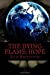 Imagen del vendedor de The Dying Flame: HOPE: "Everything is not what it seems" (Volume 1) [Soft Cover ] a la venta por booksXpress