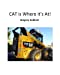 Seller image for CAT is Where it's At! [Soft Cover ] for sale by booksXpress