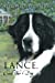 Seller image for Lance, Civil War Dog [Soft Cover ] for sale by booksXpress