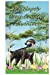 Seller image for Penelope's Cross Country Adventure (Amy's Animal Stories) (Volume 2) [Soft Cover ] for sale by booksXpress