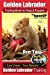 Imagen del vendedor de Golden Labrador Training Book for Dogs & Puppies by Bone Up Dog Training: Are You Ready to Bone Up? Easy Steps * Fast Results Golden Labrador Training (Volume 3) [Soft Cover ] a la venta por booksXpress