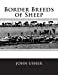 Seller image for Border Breeds of Sheep [Soft Cover ] for sale by booksXpress