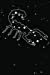 Bild des Verkufers fr Scorpio Zodiac Journal: 6x9 Horoscope Scorpio Constellation Dream Journal and Diary Stars Astrology Gift Notebook 100+ Pages (Horoscope Journal) (Volume 7) [Soft Cover ] zum Verkauf von booksXpress