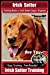 Seller image for Irish Setter Training Book for Irish Setter Dogs & Puppies By BoneUP DOG Training: Are You Ready to Bone Up? Easy Steps * Fast Results Irish Setter Training [Soft Cover ] for sale by booksXpress