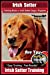 Immagine del venditore per Irish Setter Training Book for Irish Setter Dogs & Puppies By BoneUP DOG Training: Are You Ready to Bone Up? Easy Steps * Fast Results Irish Setter Training [Soft Cover ] venduto da booksXpress