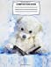 Imagen del vendedor de Teddy Bear Composition Book: Unruled Blank Sketch Paper - Sketchbook for kids Cute Notebook for school, Journal for girls, boys, students, teacher gift, class and office supplies [Soft Cover ] a la venta por booksXpress