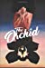 Seller image for The Orchid [Soft Cover ] for sale by booksXpress