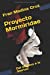 Imagen del vendedor de Proyecto Mormiridae: Del sistema a la libertad (Spanish Edition) [Soft Cover ] a la venta por booksXpress