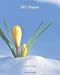 Bild des Verkufers fr 2019 Planner: Weekly Planner & Monthly Calendar - Desk Diary, Journal, New Life, Spring, Flowers, Nature - 8x10" (Creative Fusion Planners) [Soft Cover ] zum Verkauf von booksXpress