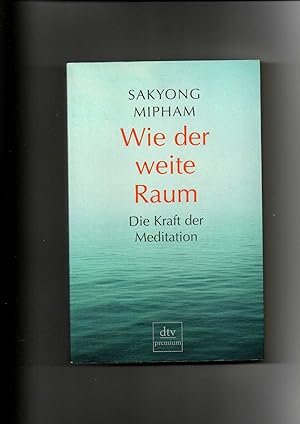 Bild des Verkufers fr Sakyong Mipham, Wie der weite Raum - Die Kraft der Meditation zum Verkauf von sonntago DE