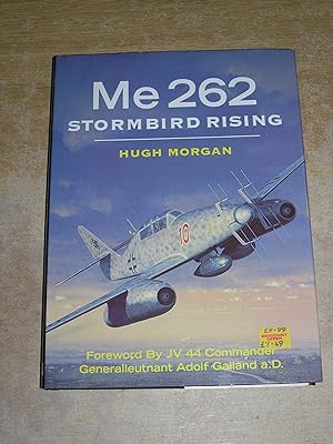 Stormbird Rising Me 262 (Military Aircraft)