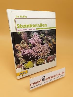Bild des Verkufers fr Steinkorallen im Meerwasseraquarium zum Verkauf von Roland Antiquariat UG haftungsbeschrnkt
