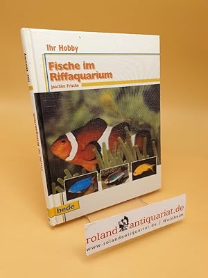Immagine del venditore per Fische im Riffaquarium venduto da Roland Antiquariat UG haftungsbeschrnkt