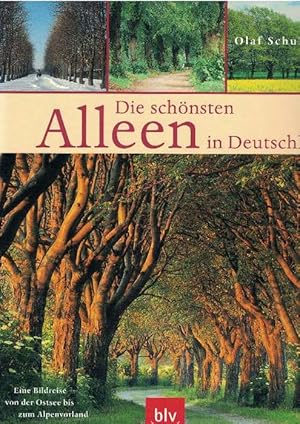 Immagine del venditore per Die schnsten Alleen in Deutschland. Eine Bildreise von der Ostsee bis zum Alpenvorland. venduto da La Librera, Iberoamerikan. Buchhandlung