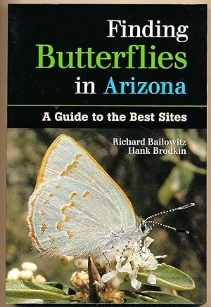 Finding Butterflies in Arizona: A Guide to the Best Sites