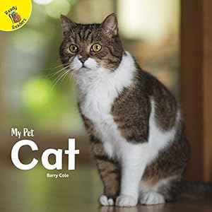 Bild des Verkufers fr Cat (My Pet) zum Verkauf von WeBuyBooks