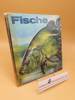 Image du vendeur pour Fische mis en vente par Roland Antiquariat UG haftungsbeschrnkt