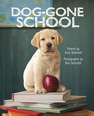 Seller image for Dog-Gone School for sale by Reliant Bookstore