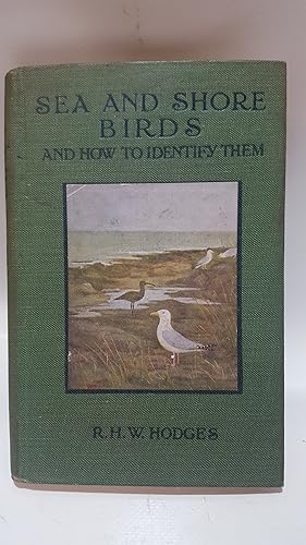 Bild des Verkufers fr SEA AND SHORE BIRDS AND HOW TO IDENTIFY THEM. zum Verkauf von Cambridge Rare Books
