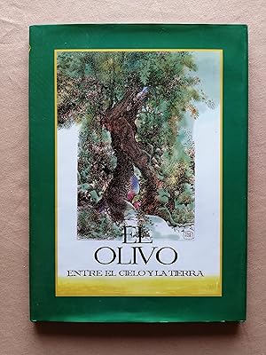 El olivo : entre el cielo y la tierra