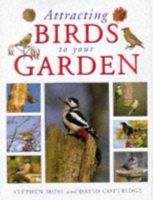 Seller image for Attracting Birds To Your Garden for sale by WeBuyBooks