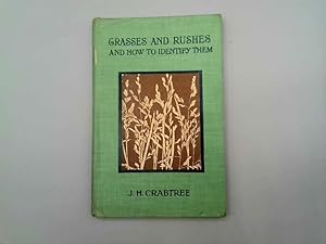 Imagen del vendedor de Grasses And Rushes, And How To Identify Them a la venta por Goldstone Rare Books