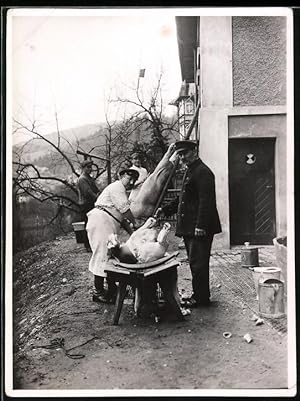 Bild des Verkufers fr Fotografie Schlachtung / Hausschlachtung, Metzger - Fleischer zerteilt ein Schwein zum Verkauf von Bartko-Reher