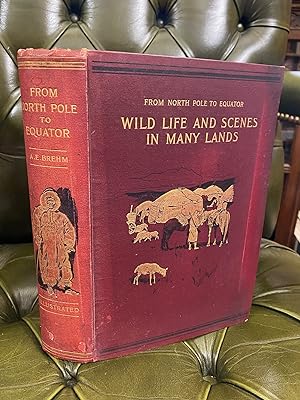 Bild des Verkufers fr From North Pole to Equator: Studies of Wild Life and Scenes in Many Lands zum Verkauf von Kerr & Sons Booksellers ABA