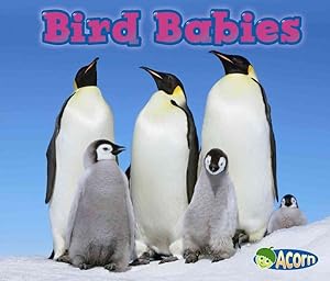 Seller image for Bird Babies for sale by GreatBookPricesUK