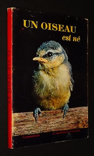 Seller image for Un Oiseau est n for sale by Abraxas-libris