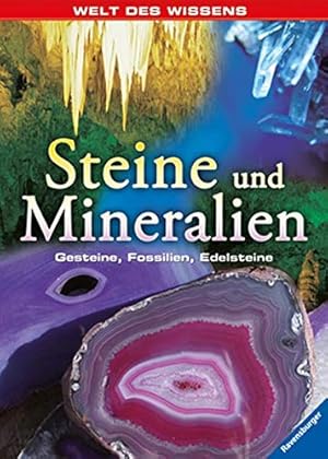 Imagen del vendedor de Steine und Mineralien Gesteine, Fossilien, Edelsteine a la venta por Antiquariat Buchhandel Daniel Viertel