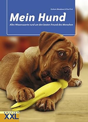 Seller image for Mein Hund alles Wissenswerte rund um den besten Freund des Menschen for sale by Antiquariat Buchhandel Daniel Viertel