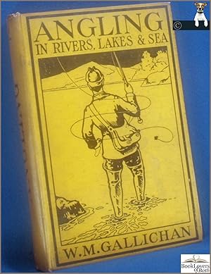 Imagen del vendedor de Practical Hints on Angling: In Rivers, Lakes, and Sea a la venta por BookLovers of Bath