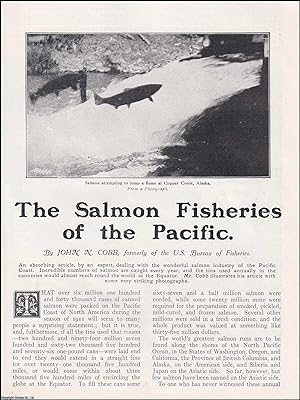 Seller image for The Salmon Fisheries of the Pacific Coast of North America. An uncommon original article from the Wide World Magazine, 1914. for sale by Cosmo Books