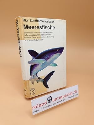 Imagen del vendedor de Meeresfische der Ostsee, der Nordsee, des Atlantiks ; in Farben abgebildet u. beschrieben ; Biologie, Fang, wirtschaftl. Bedeutung a la venta por Roland Antiquariat UG haftungsbeschrnkt