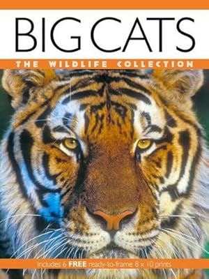 Bild des Verkufers fr Big Cats (Wildlife Collection) zum Verkauf von WeBuyBooks