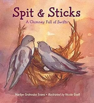 Seller image for Spit & Sticks (Hardcover) for sale by Grand Eagle Retail