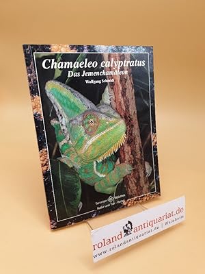Bild des Verkufers fr Chamaeleo calyptratus ; Das Jemenchamleon zum Verkauf von Roland Antiquariat UG haftungsbeschrnkt
