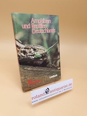 Bild des Verkufers fr Amphibien und Reptilien Deutschlands zum Verkauf von Roland Antiquariat UG haftungsbeschrnkt