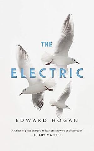 Imagen del vendedor de The Electric a la venta por WeBuyBooks