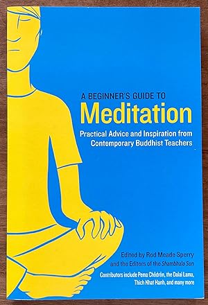 Immagine del venditore per A Beginner's Guide to Meditation: Practical Advice and Inspiration from Contemporary Buddhist Teachers venduto da Molly's Brook Books
