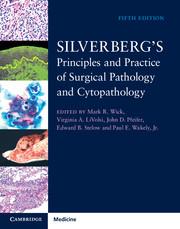 Seller image for Silverberg s Principles and Practice of Surgical Pathology and Cytopathology for sale by moluna