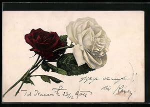 Bild des Verkufers fr Ansichtskarte Rote und weisse Rose mit Blttern zum Verkauf von Bartko-Reher