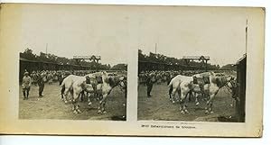 Seller image for France First World War Marne embarkation of troops Horses Old Stereo Photo 1918 for sale by Bits of Our Past Ltd