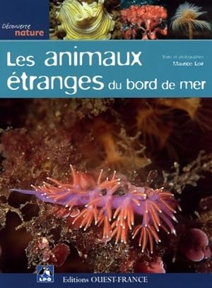 Les animaux ?tranges du bord de mer - Maurice Loir